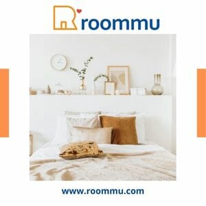 Roommu ad search-biz
